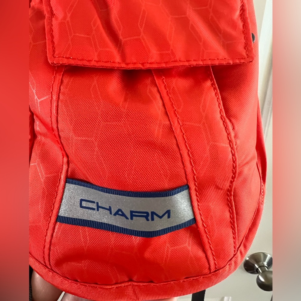 Camelback Charm - Picture 3 of 6